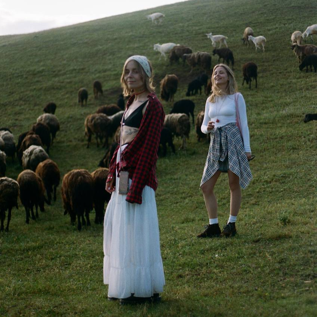 saw some other cute animals too.